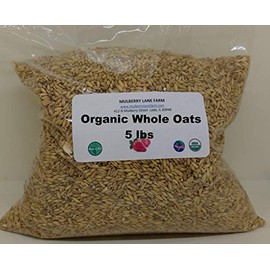 Whole Oats 5 Pounds Hulled, Groats, USDA Certified Organic Non-GMO Bulk