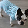 KUVEELA Pet Dog Clothing, Postoperative Wear, French Bulldog Pug, Alternative