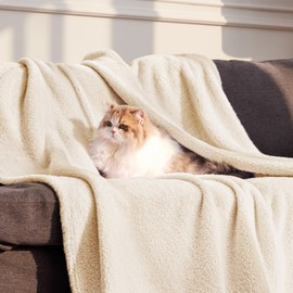 Whale Flotilla Light Champagne King Size Blanket for Bed, 300GSM Soft Warm Fleece Fabric, Decorative Lightweight Plush Fluffy Blankets for All Season, 90x104 Inch