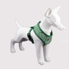 THAIN Dog Harness, Small Dogs, Medium Dogs, Dog Harness, Vest
