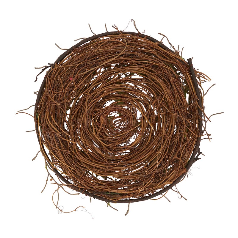 Rustic Charm Twig and Moss Placemat (Set of 4)