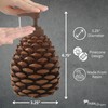 Park Designs Pinecone Hand Soap Dispenser for Bathroom | Nature