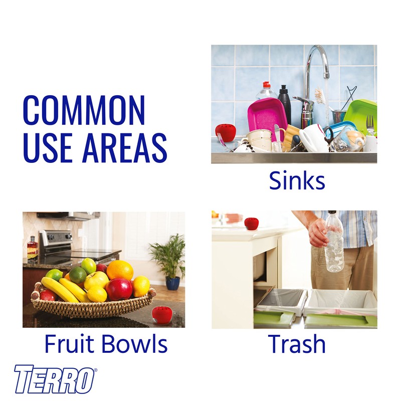 Terro T2503-3 Fruit Fly Trap