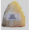 Corn Husks Hojas para Tamal Wrapper Hojas de Maiz Mama-Maley