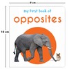 My First Book of Opposites