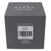 CoolSnowGlobes BRAND NEW Philip Johnson The Glass House Collectible Snow