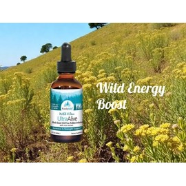 PURELY WILD Dr. Cass Ingram's UltraAlive Black Seed Oil & Pine Pollen Complex with Pine Resin & Wild Oregano - Hormonal Support, Natural Energy & Vitality Boost - Wild Pine Pollen Extract - 2 fl oz