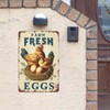 Farm Fresh Eggs, Chicken Nest