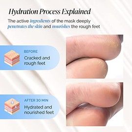 PLANTIFIQUE Korean Foot Mask with Shea Butter 2 Pairs Box for Dry & Cracked Feet | Hydrating Socks for Soft Heels | Intense Moisturizing and Repairing