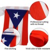 Puerto Rico Flags Puerto Rican Small String Mini Flag Pennant