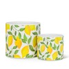 Abbott Collection Large Sunny Lemons Planter-6.5" D