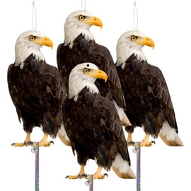 Kungfu Mall 4PCS Fake Owl to Scare Birds Away, Cardboard Reflective Hanging Decoration, Flat Paper Effective Bird Control Device to Scare Pigeons Away from Garden Patio Windows Tree