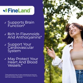 FineLand Wild Blueberry 10:1 Extract, 6,000 mg Strength, 120 Vegan Capsules, Rich in Flavonoids & Anthocyanins, Antioxidant Support for Brain & Heart Health, 4-Month Supply, Non-GMO Made in USA