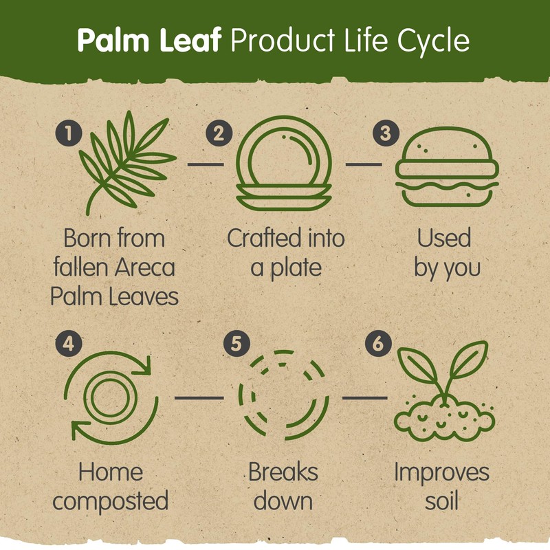 Signature Packaging - Disposable Palm Leaf Plates - Sturdy, Medium