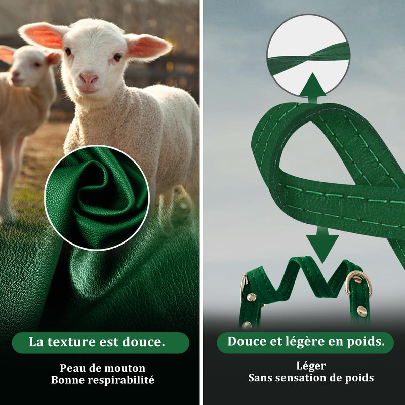 Qianruida Leather Cat Collar Quick Release Kitten Collar Cat Collars