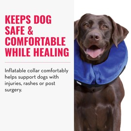KONG - Cloud Collar - Inflatable Collar - For Injuries, Rashes and Post Surgery Recovery - For Large Dogs