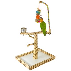 Bird Play Gym Tabletop w Cup, Toy Hanger and Toy, Birds LOVE Bengal TigerTail Stand - Large