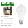 Radar Motion Sensor Light Bulbs, 5000K Daylight A21 E26 Base