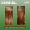 Clairol Natural Instincts Demi-Permanent Hair Dye, 7RG Dark Rose Gold