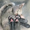 Alex Clark Cat's Toe Beans Blank Card - Cute Funny