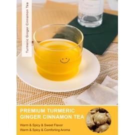 TeeLux Turmeric Ginger Cinnamon Tea Bags 100 Count, Vegan, Warm & Full-bodied, Caffeine Free Herbal Tea, Biodegradable Tea Bag
