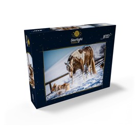 American Paint Horse On Snow - Premium 1000 Piece Jigsaw Puzzle for Adults