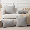 Kevin Textile Set of 2 Decorative Pillows Covers for Couch