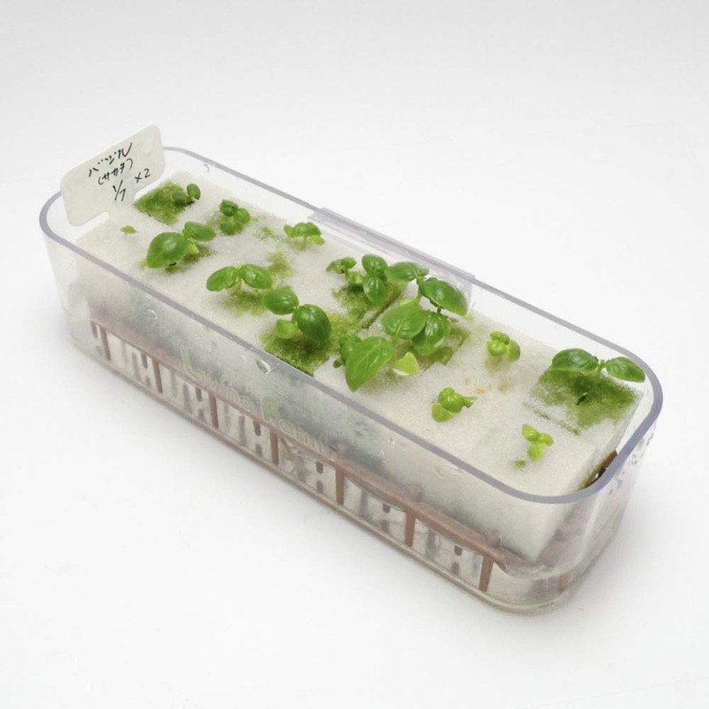 Living Farm Basil Hydroponic Cultivation Seedling Kit (Seeds)