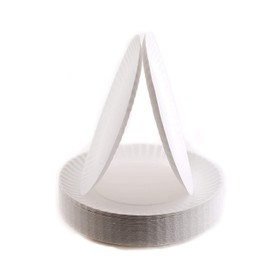 AME D'ESSENCE (500 PACK-9") Disposable Paper Plates 9" Uncoated White Bulk Paper Plate Large | AME D'ESSENCE