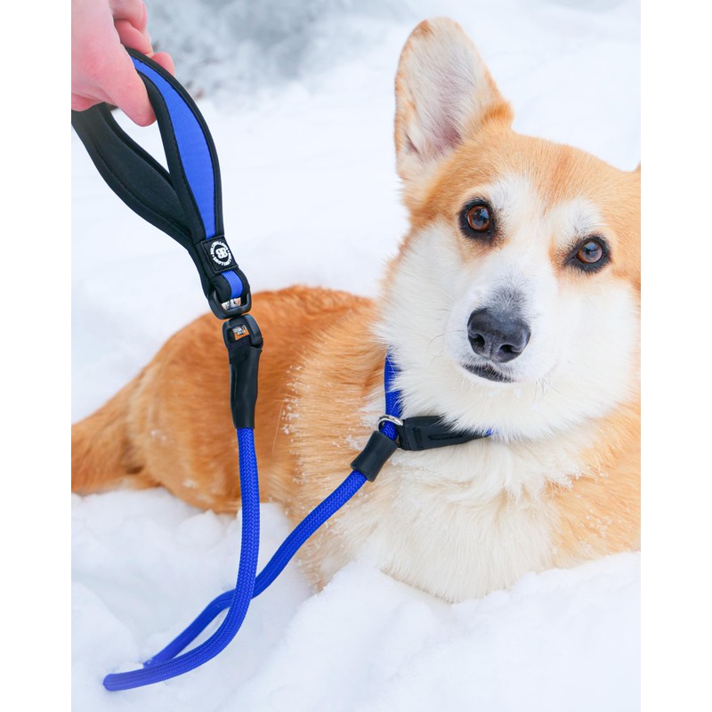 BullyBillows Anti-Pull Anti-Choking Training Dog Lead | 1.4m Active Light