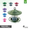 etree Easy Clean Hanging Lantern Bird Feeder (2023 Design) -