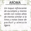 Laferv Aceite Masaje Relax Eucalipto Spearmint 4 Litros Tamaño Spa