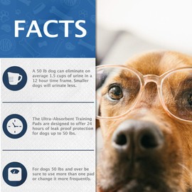 American Kennel Club Pet Training and Puppy Pads, Regular and Extra Large