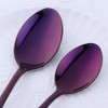 Bisda 5-Piece Purple Silverware Flatware Set Service for 1 Stainless