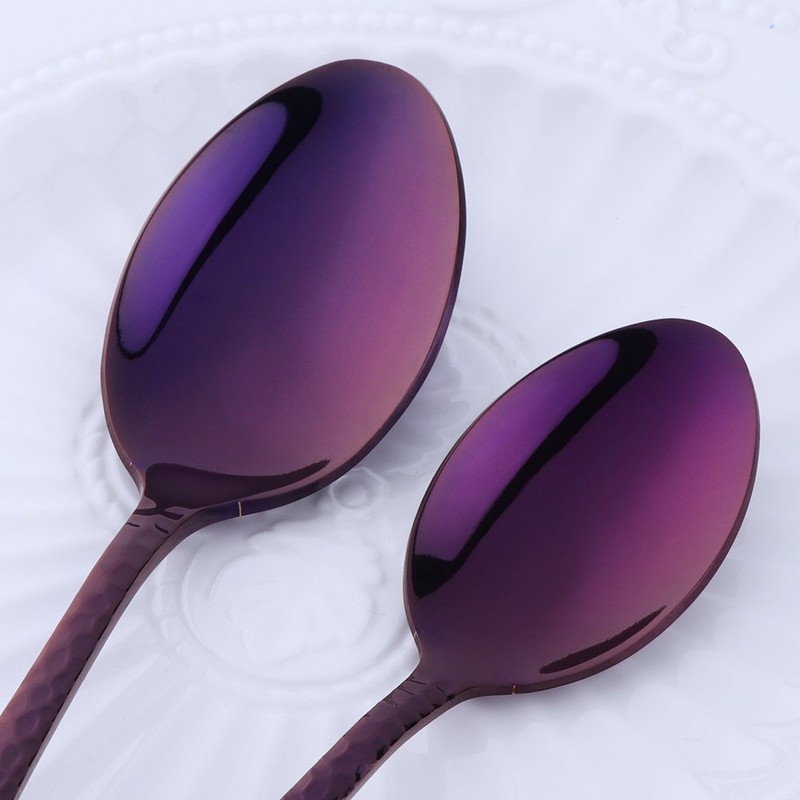 Bisda 5-Piece Purple Silverware Flatware Set Service for 1 Stainless