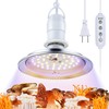 Meonum Mushroom Grow Light with 3/6/9 Hour Timer, 360° LED