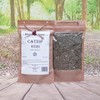 Health Embassy Catnip Herb Tea | Nepeta cataria L |