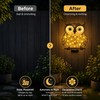 Owl Solar Wall Light for Outdoor Decor – Metal LED