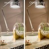 GE Reveal LED Light Bulbs, Candle Lights, 40 Watts, Clear