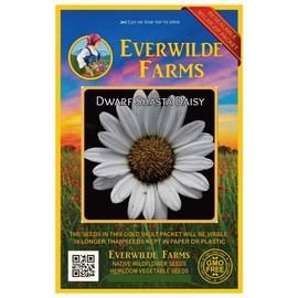 Everwilde Farms - 2000 Dwarf Shasta Daisy Wildflower Seeds - Gold Vault Jumbo Seed Packet