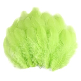 iHUFeather 600pcs Lime Green Feathers for Crafts 3-5inch Bulk Colored Feathers for DIY Crafts, Wedding Home Party decoration