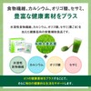 リビタ大麦若葉青汁（3g×30袋入）