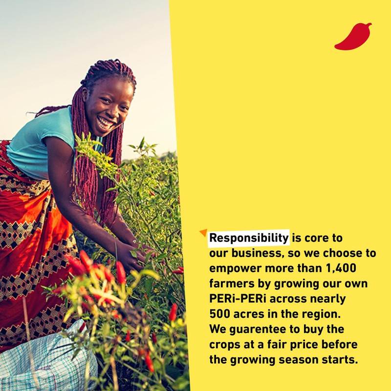 Nandos Peri Peri Sauce Medium 4 Pack - Spicy Sauces,