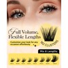 BEYELIAN Cluster Lashes, D Curl Cluster Eyelash Extensions, 182 Pcs
