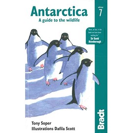 Antarctica: A Guide to the Wildlife (Bradt Travel Guide)