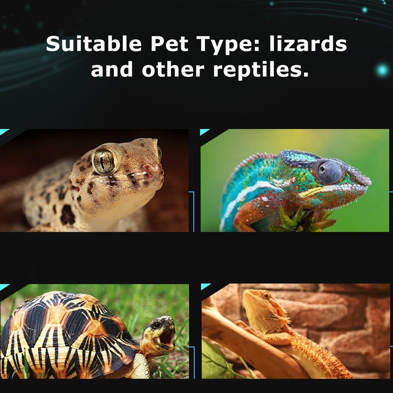 Reptile Terrarium Thermometer Hygrometer Digital Display Pet Tank Temperature GaugeRed