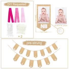1st Birthday Burlap Photo Banner Garland Handmade Felt from Newborn to 12 Months with Gradient Pink Ribbon Monthly Milestone Photograph Bunting for Baby Girl First Birthday Party Celebration Decor
