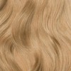 Dirty Blonde Single Hair Color Sample