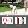 Dog Lead, Adjustable Dog Lead with Safety Belt for Dogs,