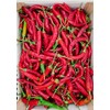 Chili Peppers Peperoncini Preserved in EVOO - Maida Farm, Campania,